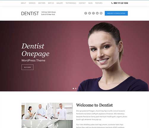 Dentist WordPress Theme